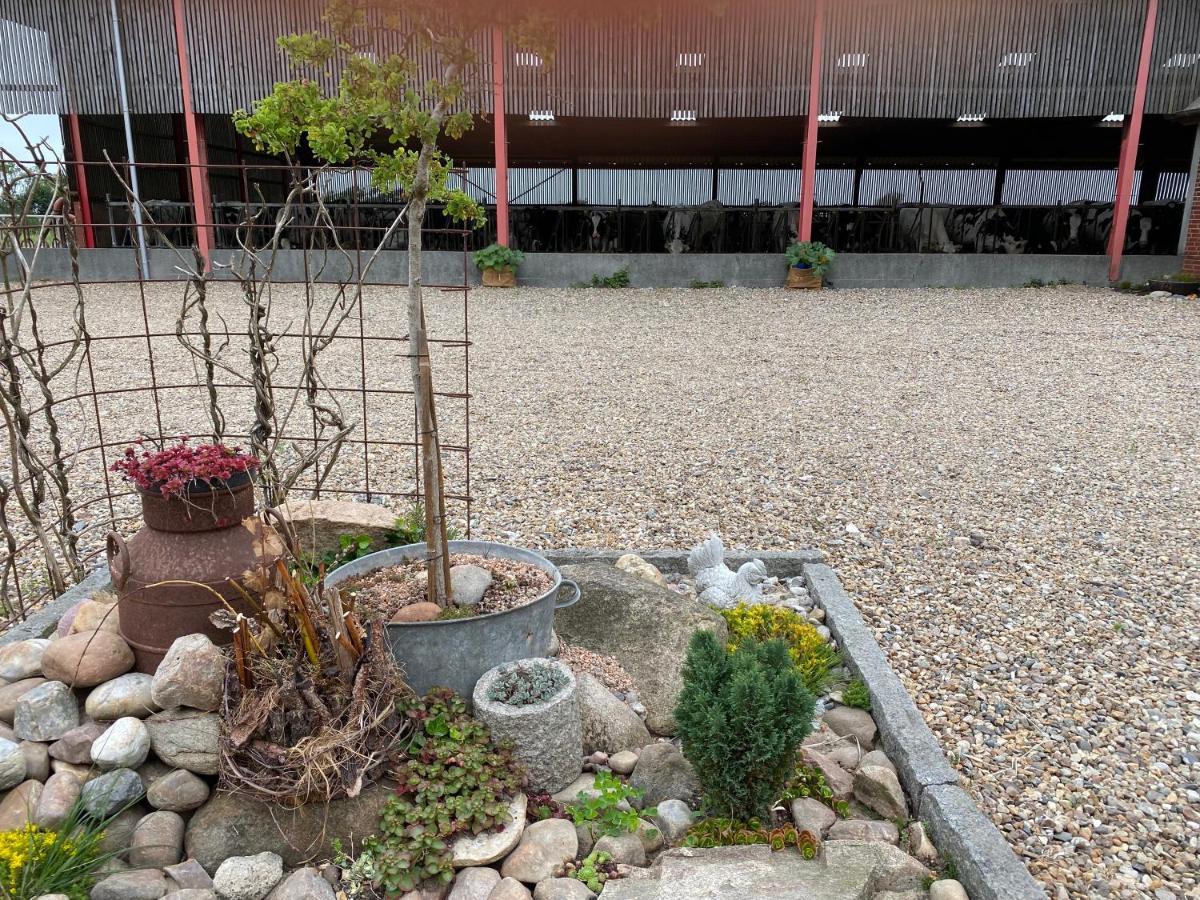 Nygaard B&B Norre Nebel ภายนอก รูปภาพ