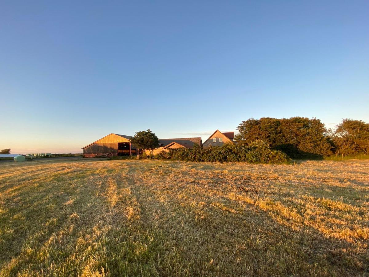Nygaard B&B Norre Nebel ภายนอก รูปภาพ